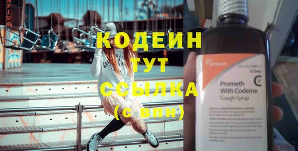 индика Каменка