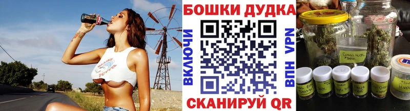 купить закладку  mega рабочий сайт  Бошки Шишки VHQ  Кингисепп 